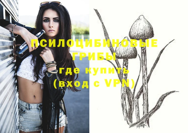 мет Арсеньев